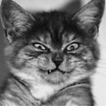 Ivan Karsakov, Ivan Karsakov