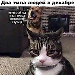 Вячеслав Вербовой, Вячеслав Вербовой