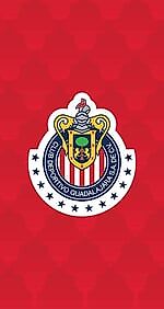 dinamik22, dinamik22