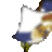 RA2+3