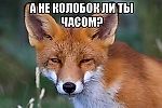 Георгиевский крест, Георгиевский крест Георгиевский крест, Георгиевский крест