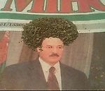 Мухомор-Элит, Мухомор-Элит