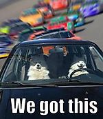 Aceofspeeds, Aceofspeeds