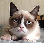 Rusya_tomsk, Rusya_tomsk