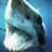AlexShark