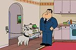 Цветы жизни, Цветы жизни