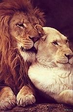 ilnazio13, ilnazio13