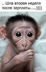 Григорий лудоманище, Григорий лудоманище