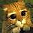 stevege