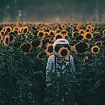 desperation, desperation