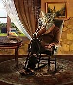 Кот Баскервилей, Кот Баскервилей