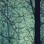 lks72_, lks72_