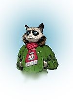 Gerrard_krg7, Gerrard_krg7