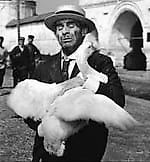 ПаникОФФский, ПаникОФФский