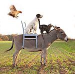 Ne_Rapunzel88, Ne_Rapunzel88