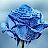 Blue Corn