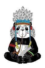 Злая Панда, Злая Панда