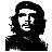Ernesto Che