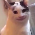 Рома Михалев, Рома Михалев