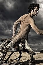 EvolutionMan, EvolutionMan