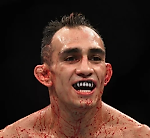 Максим Соколов, Максим Соколов