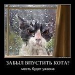 Серега Н, Серега Н