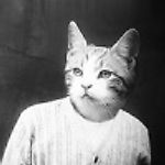 March_cat23, March_cat23