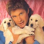 David Hasselhoff, David Hasselhoff David Hasselhoff, David Hasselhoff