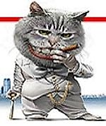 кот-мявун, кот-мявун