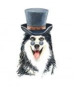 Danila Selin, Danila Selin