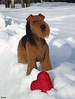 Людмила Мурашко, Людмила Мурашко