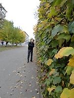 Алексей Куприй, Алексей Куприй