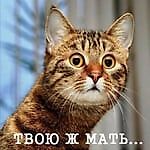 Чопра, Чопра
