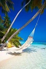 Юля Зеленівська, Юля Зеленівська