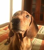 Kostyan-19677777777777, Kostyan-19677777777777