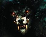 WerWolf, WerWolf