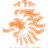 koh