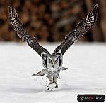 Slava Zhiltsov, Slava Zhiltsov