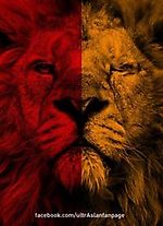 galatasaray26, galatasaray26