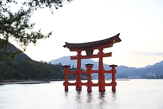 Из Японии с желанием вернуться