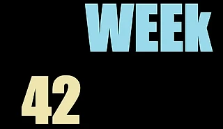 Итоги 42 недели.