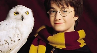 Как звали сову Гарри Поттера: Букля или Хедвиг?