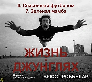 Брюс Гроббелар. «Жизнь в джунглях. Автобиография»: 6. Спасенный футболом, 7. Зеленая мамба