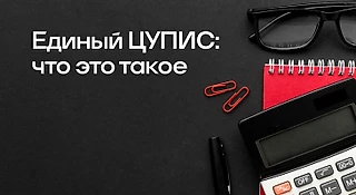 Единый ЦУПИС: что это такое, как пользоваться