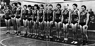 XXXI чемпионат СССР (женщины), сезон 1963-1964. Чемпион, призеры и примкнувший к ним Ташкент