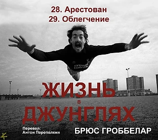 Брюс Гроббелар. «Жизнь в джунглях. Автобиография» 28. Арестован; 29. Облегчение