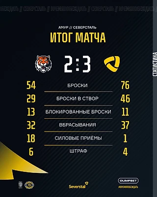 🐯 Река Тигр 2 — 3 (Б) 🟡 Железо Команда
