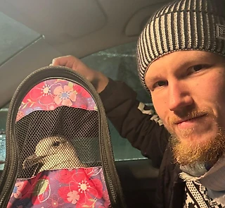 Племянник спас сбитую машиной дикую чайку. Неистово громко и слишком близко, часть 8