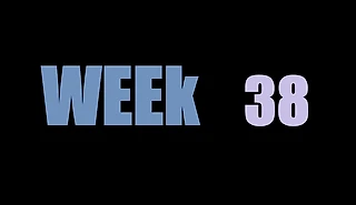 Итоги 38 недели