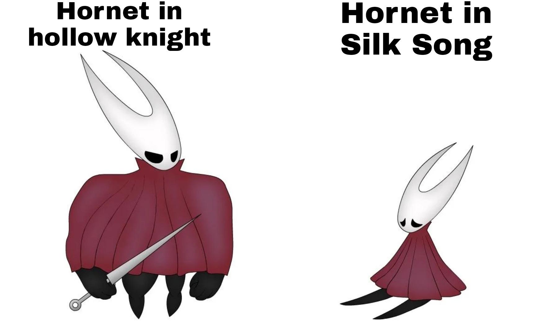 Este meme es del futuro. : r/HollowKnightMemes